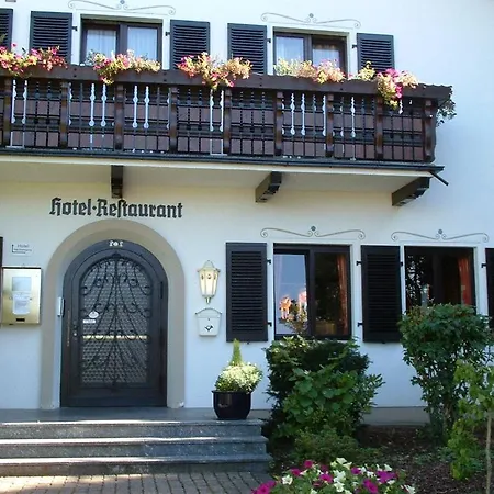 호텔 Schweizer Haus